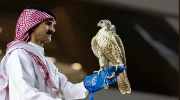 معرض الصقور السعودي يشهد بيع 4 طيور نادرة بقيمة 652 ألف ريال